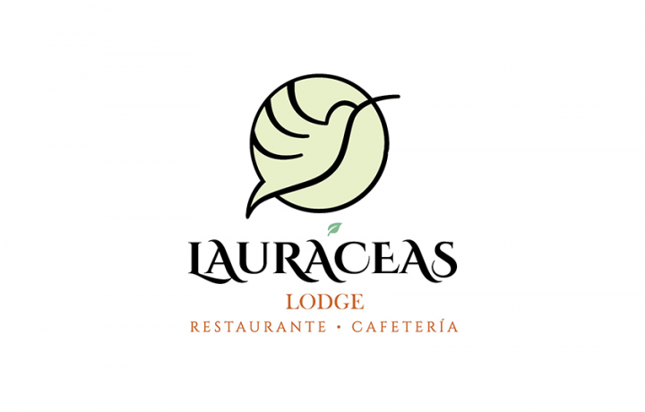 Lauraceas