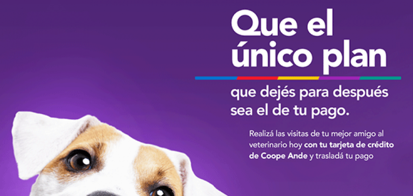 Veterinarias