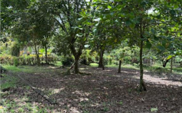 venta-adjudicado