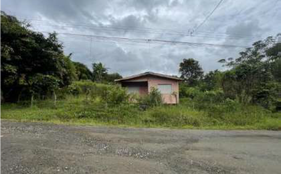 Lote Turrialba