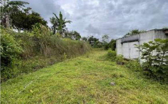 Lote Turrialba
