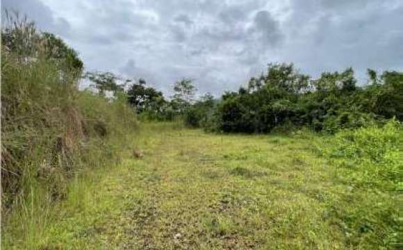 Lote Turrialba