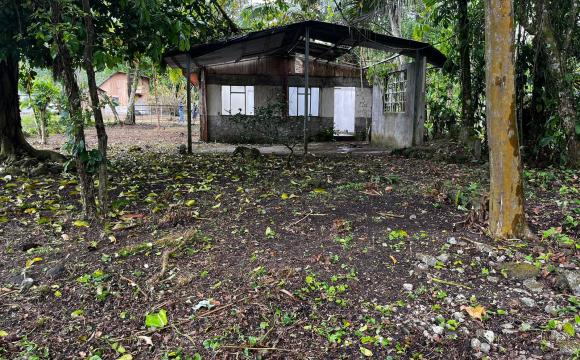 Lote, Cartago, Turrialba, Peralta