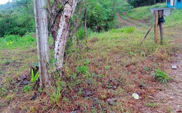 Lote, Upala, Barrio El Progreso