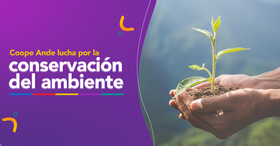 conservacion