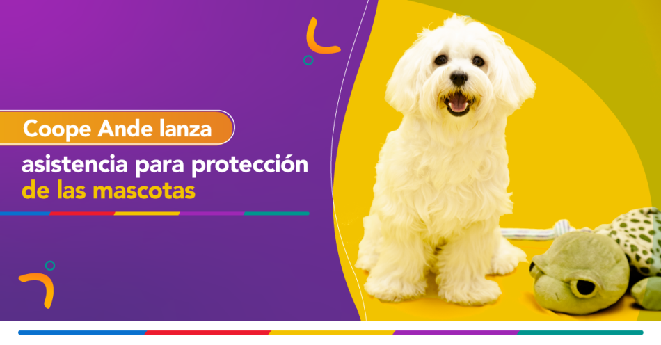 pet-friendly